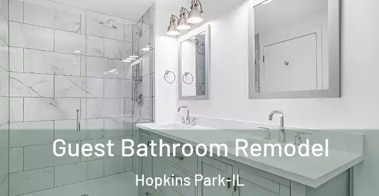inner Bathroom imggen Guest Bathroom Remodel Hopkins Park-IL