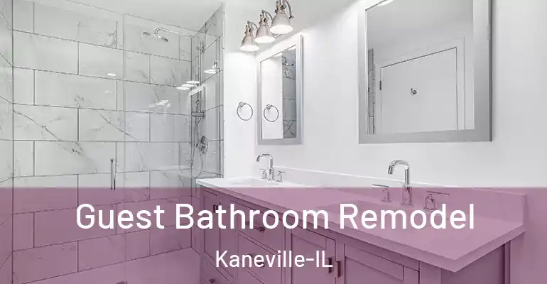 inner Bathroom imggen Guest Bathroom Remodel Kaneville-IL