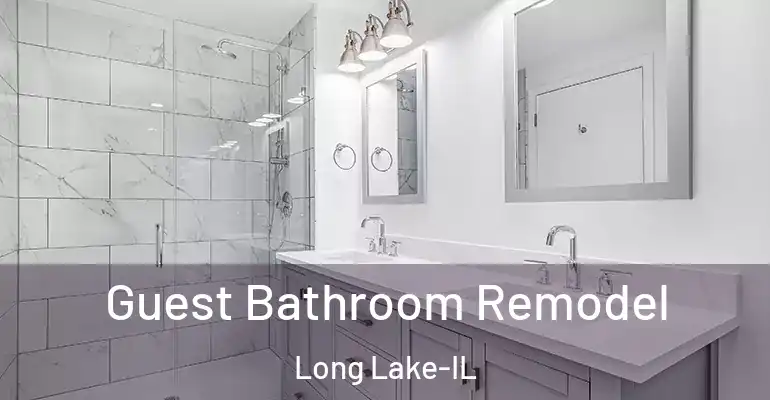 inner Bathroom imggen Guest Bathroom Remodel Long Lake-IL