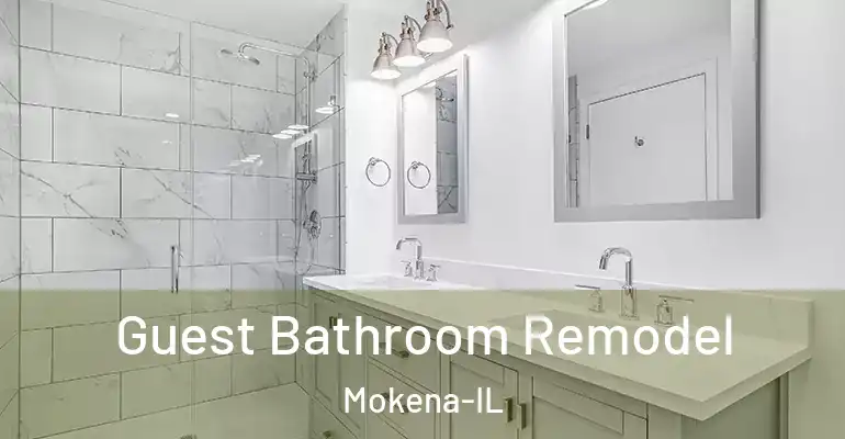 inner Bathroom imggen Guest Bathroom Remodel Mokena-IL
