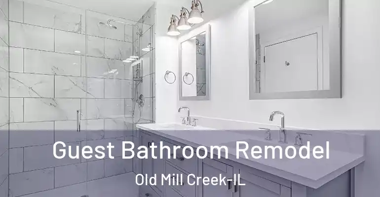inner Bathroom imggen Guest Bathroom Remodel Old Mill Creek-IL