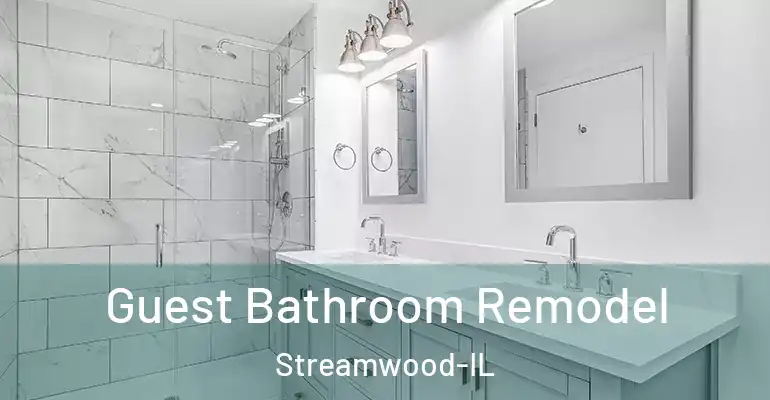 inner Bathroom imggen Guest Bathroom Remodel Streamwood-IL