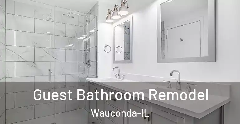 inner Bathroom imggen Guest Bathroom Remodel Wauconda-IL