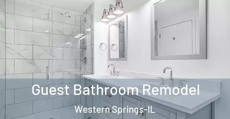 inner Bathroom imggen Guest Bathroom Remodel Western Springs-IL