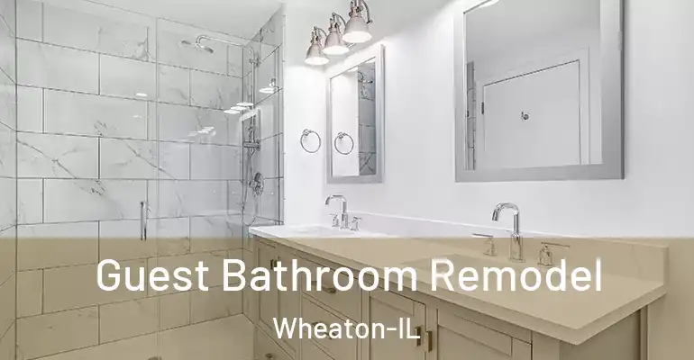 inner Bathroom imggen Guest Bathroom Remodel Wheaton-IL