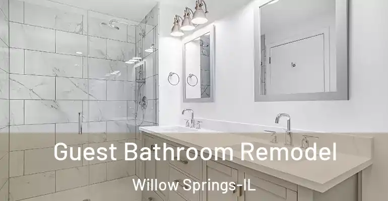 inner Bathroom imggen Guest Bathroom Remodel Willow Springs-IL