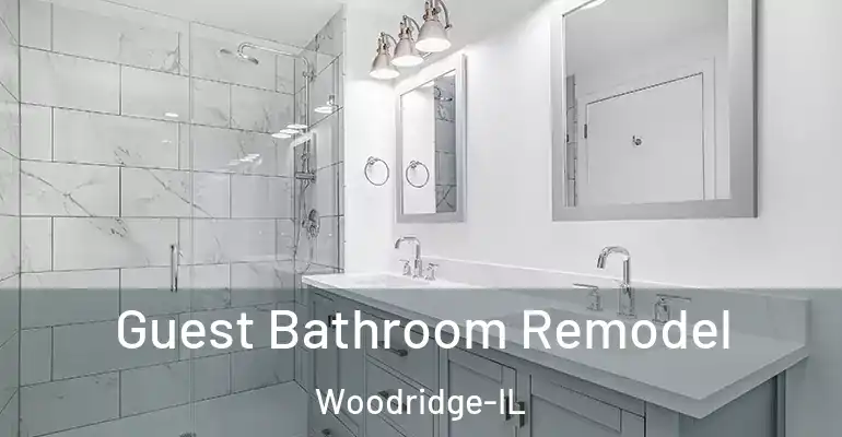 inner Bathroom imggen Guest Bathroom Remodel Woodridge-IL