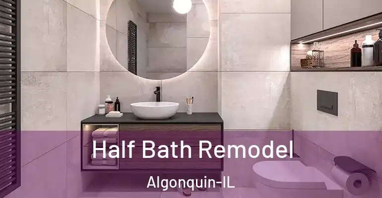 inner Bathroom imggen Half Bath Remodel Algonquin-IL