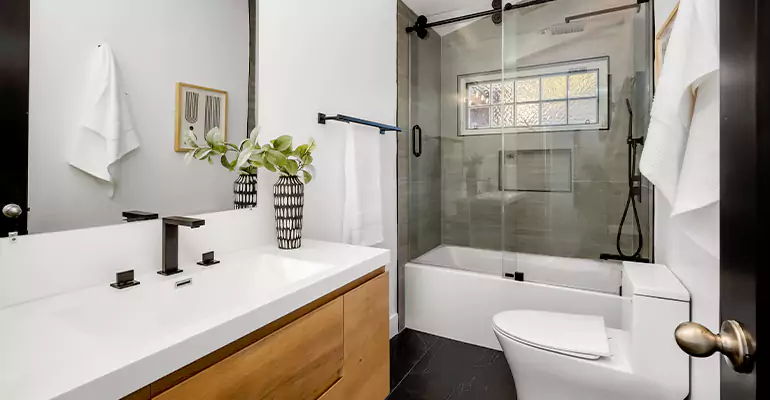 Tub to Shower Renovation in Glenview