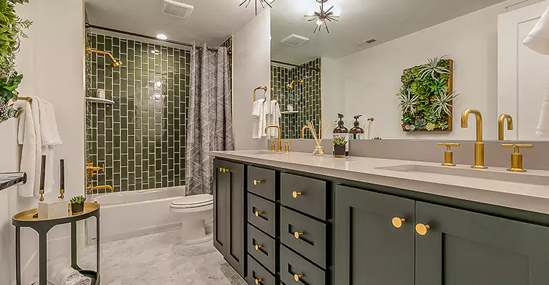Budget Shower Remodel in Glenview, IL