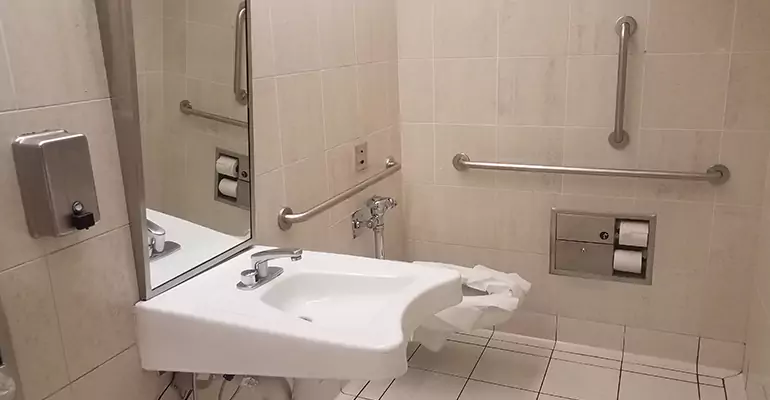 Bathroom Renovation for Disabled Person in Glenview