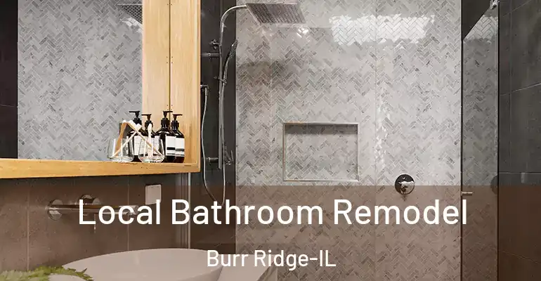 inner Bathroom imggen Local Bathroom Remodel Burr Ridge-IL