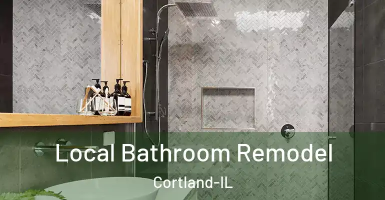 inner Bathroom imggen Local Bathroom Remodel Cortland-IL