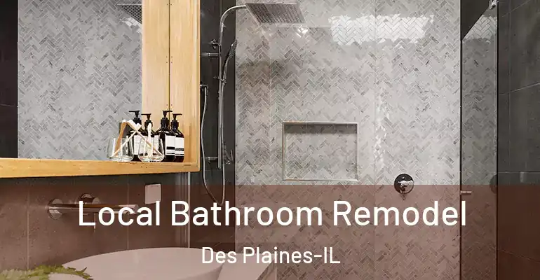inner Bathroom imggen Local Bathroom Remodel Des Plaines-IL