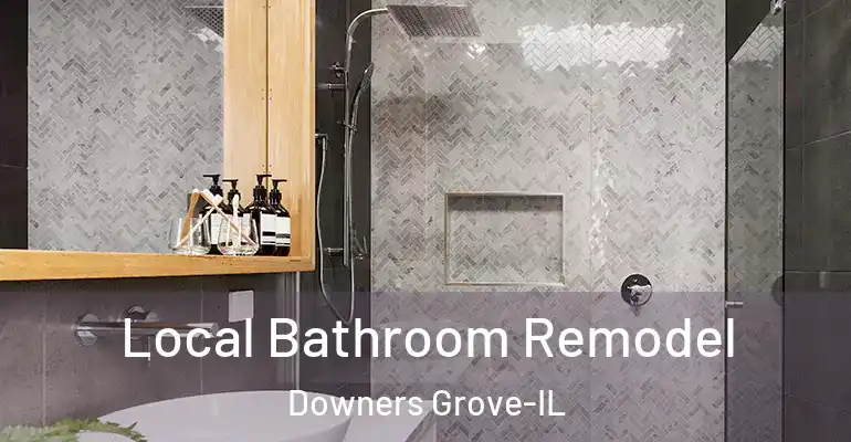 inner Bathroom imggen Local Bathroom Remodel Downers Grove-IL