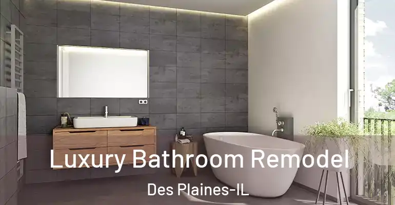 inner Bathroom imggen Luxury Bathroom Remodel Des Plaines-IL