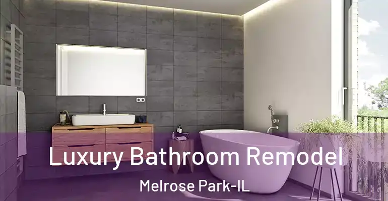 inner Bathroom imggen Luxury Bathroom Remodel Melrose Park-IL