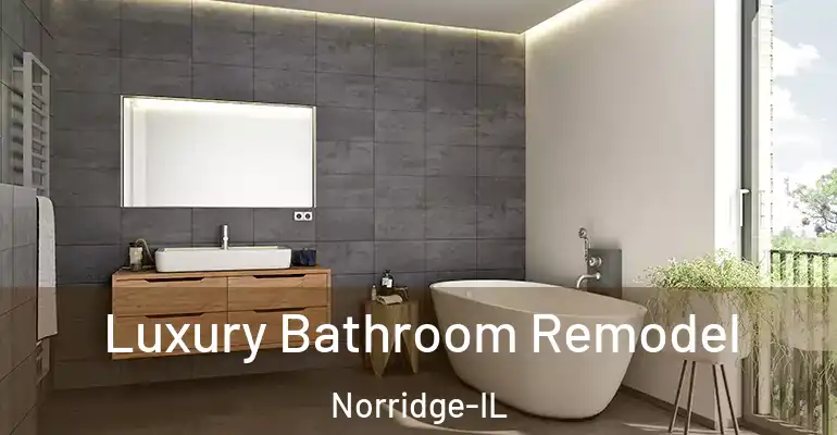 inner Bathroom imggen Luxury Bathroom Remodel Norridge-IL
