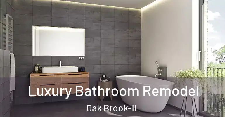 inner Bathroom imggen Luxury Bathroom Remodel Oak Brook-IL