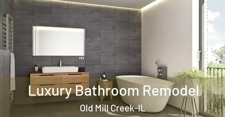 inner Bathroom imggen Luxury Bathroom Remodel Old Mill Creek-IL