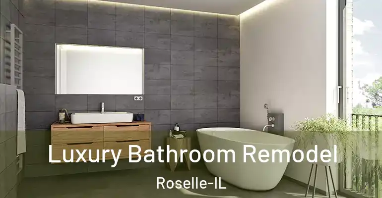 inner Bathroom imggen Luxury Bathroom Remodel Roselle-IL