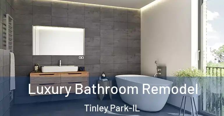 inner Bathroom imggen Luxury Bathroom Remodel Tinley Park-IL