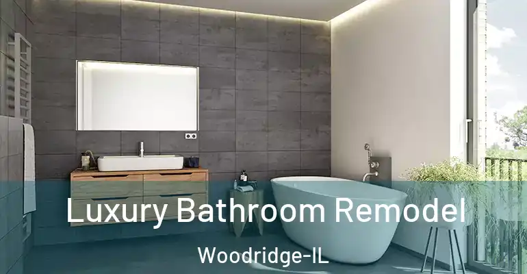 inner Bathroom imggen Luxury Bathroom Remodel Woodridge-IL