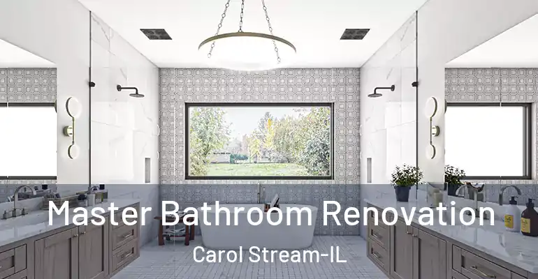 inner Bathroom imggen Master Bathroom Renovation Carol Stream-IL