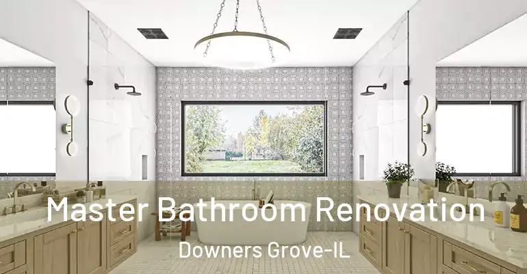 inner Bathroom imggen Master Bathroom Renovation Downers Grove-IL
