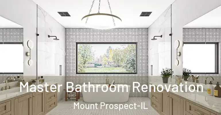 inner Bathroom imggen Master Bathroom Renovation Mount Prospect-IL