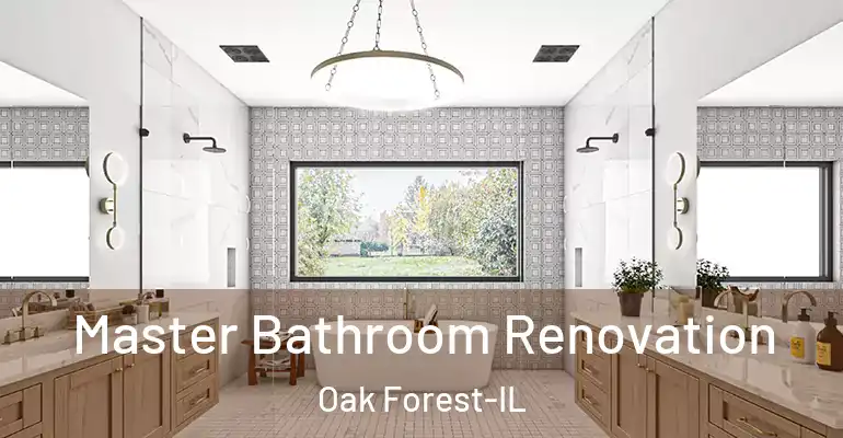 inner Bathroom imggen Master Bathroom Renovation Oak Forest-IL