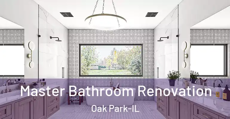 inner Bathroom imggen Master Bathroom Renovation Oak Park-IL
