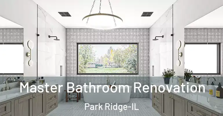 inner Bathroom imggen Master Bathroom Renovation Park Ridge-IL