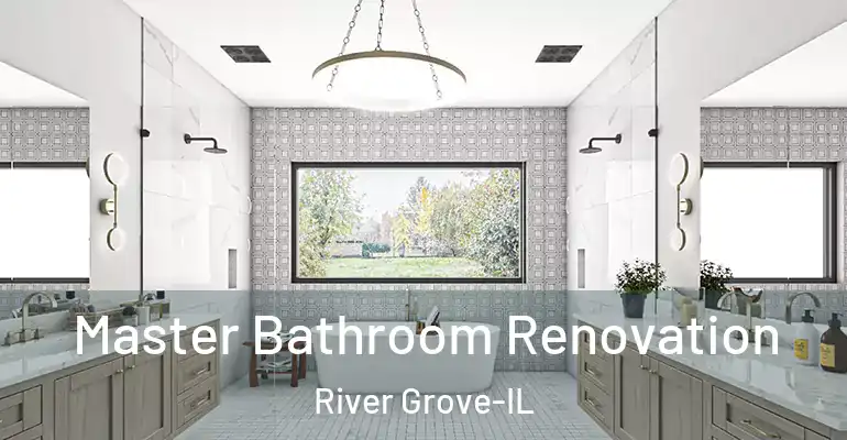 inner Bathroom imggen Master Bathroom Renovation River Grove-IL