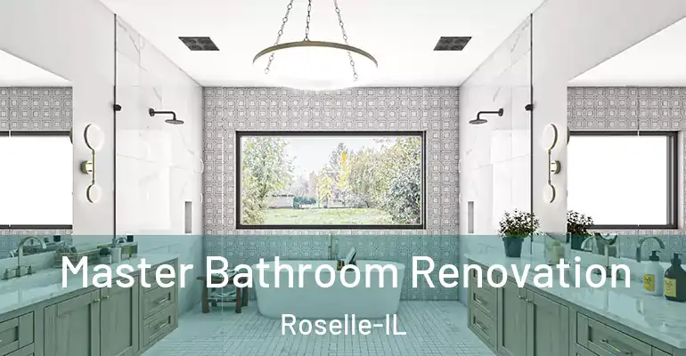 inner Bathroom imggen Master Bathroom Renovation Roselle-IL
