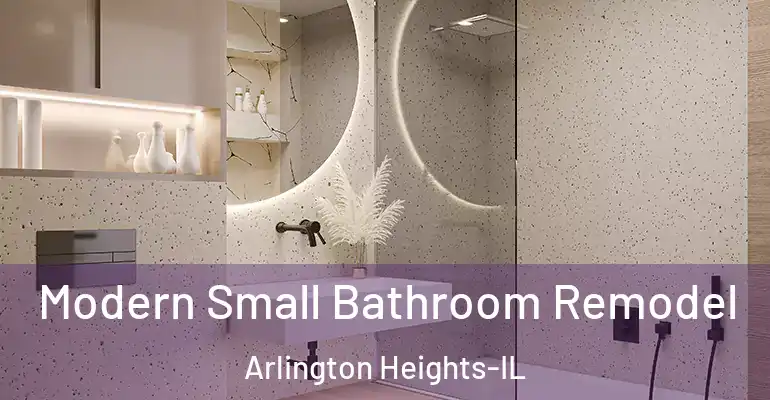 inner Bathroom imggen Modern Small Bathroom Remodel Arlington Heights-IL