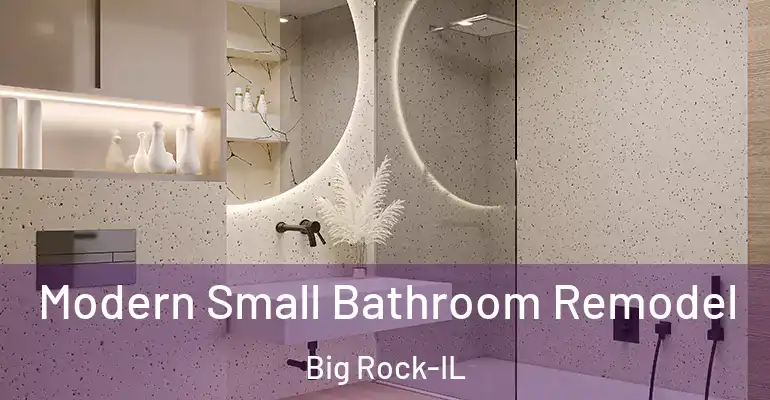 inner Bathroom imggen Modern Small Bathroom Remodel Big Rock-IL