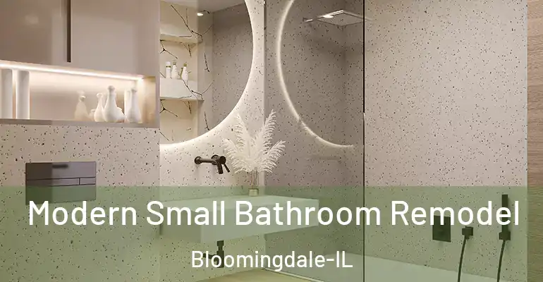 inner Bathroom imggen Modern Small Bathroom Remodel Bloomingdale-IL