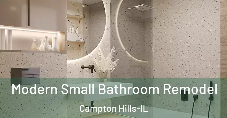 inner Bathroom imggen Modern Small Bathroom Remodel Campton Hills-IL