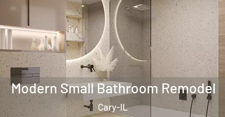 inner Bathroom imggen Modern Small Bathroom Remodel Cary-IL