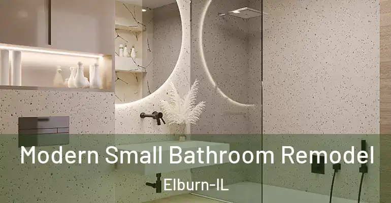 inner Bathroom imggen Modern Small Bathroom Remodel Elburn-IL
