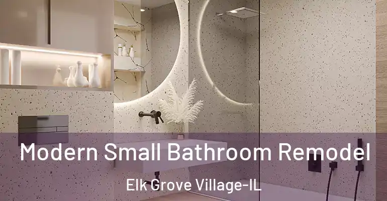 inner Bathroom imggen Modern Small Bathroom Remodel Elk Grove Village-IL