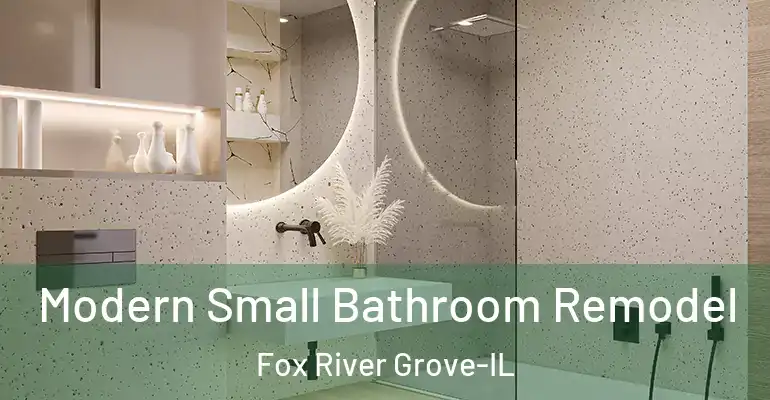 inner Bathroom imggen Modern Small Bathroom Remodel Fox River Grove-IL