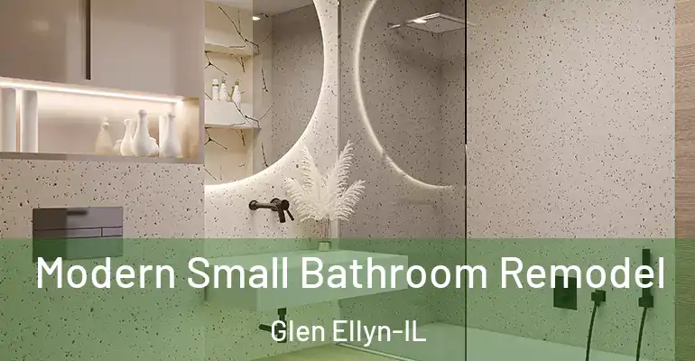 inner Bathroom imggen Modern Small Bathroom Remodel Glen Ellyn-IL