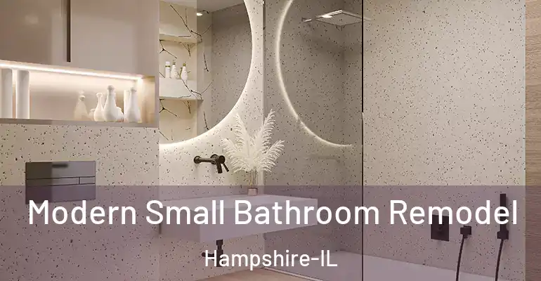inner Bathroom imggen Modern Small Bathroom Remodel Hampshire-IL