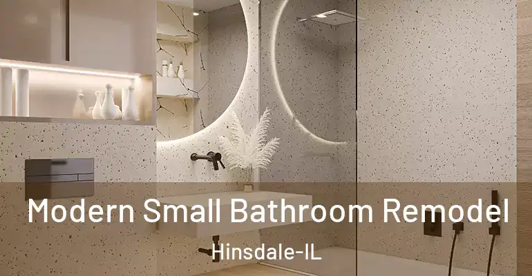 inner Bathroom imggen Modern Small Bathroom Remodel Hinsdale-IL