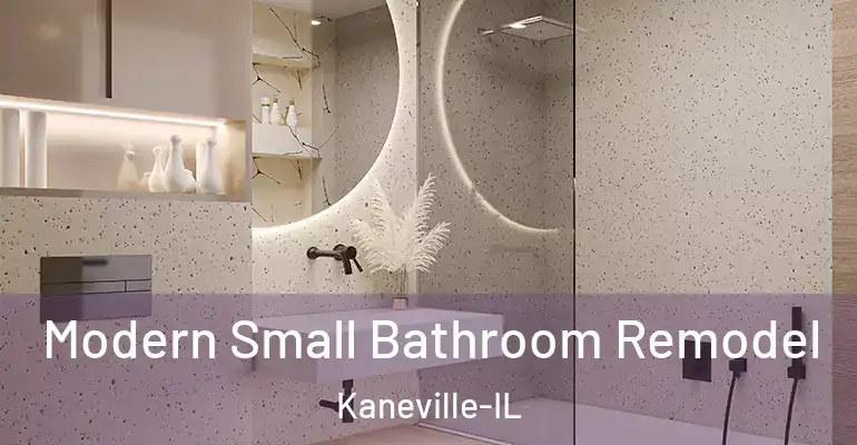 inner Bathroom imggen Modern Small Bathroom Remodel Kaneville-IL