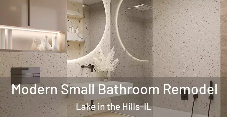 inner Bathroom imggen Modern Small Bathroom Remodel Lake in the Hills-IL