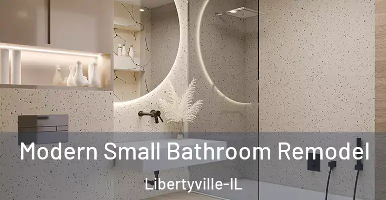 inner Bathroom imggen Modern Small Bathroom Remodel Libertyville-IL