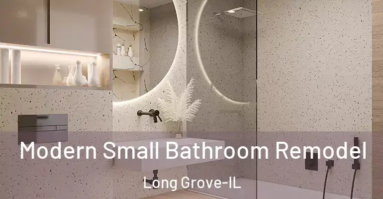 inner Bathroom imggen Modern Small Bathroom Remodel Long Grove-IL